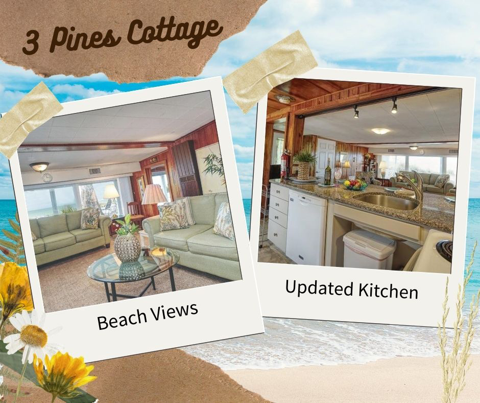 Living the Dream On Anna Maria Island